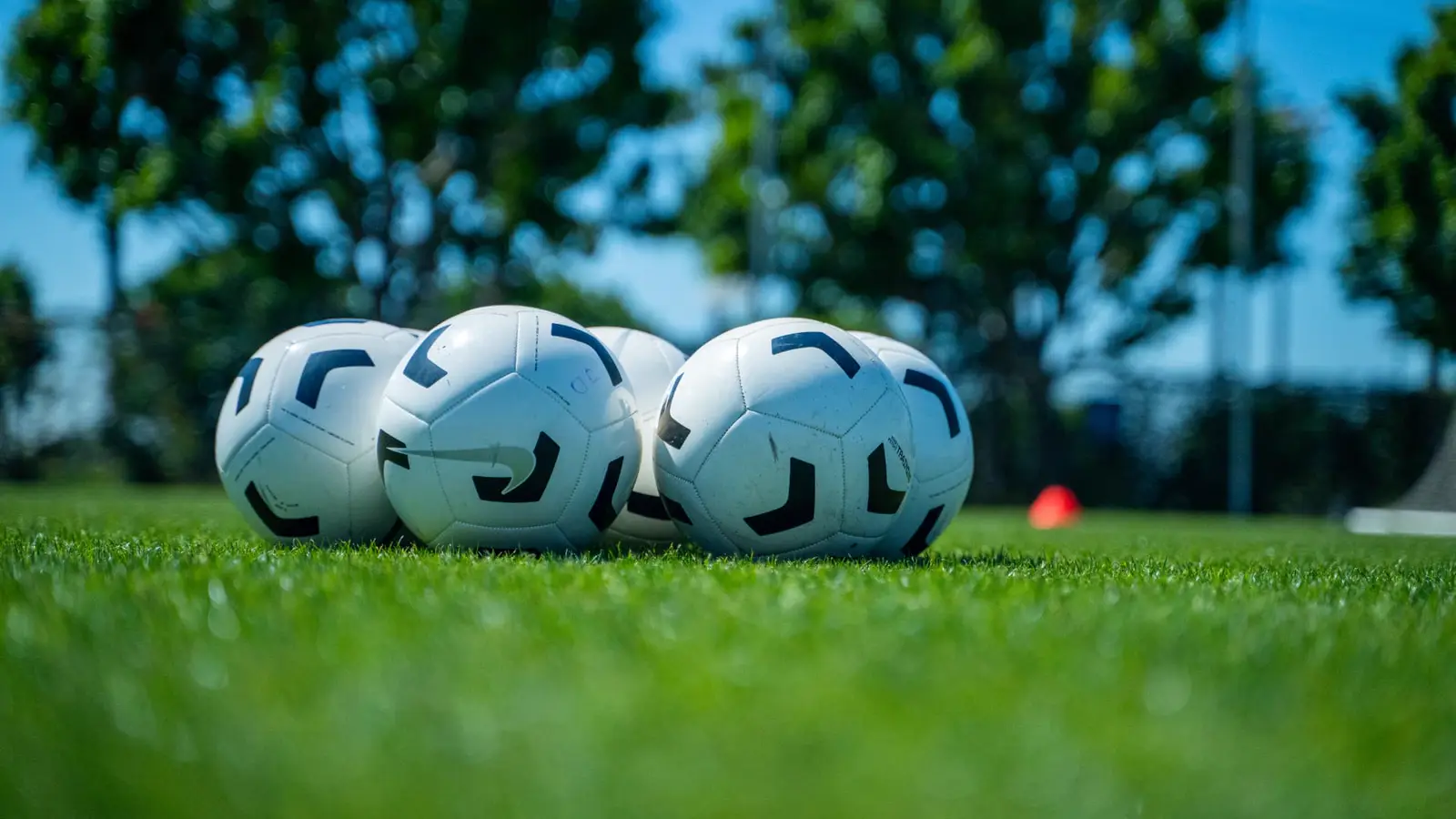 Soccer balls resting on a grass field with trees and blue sky behind them